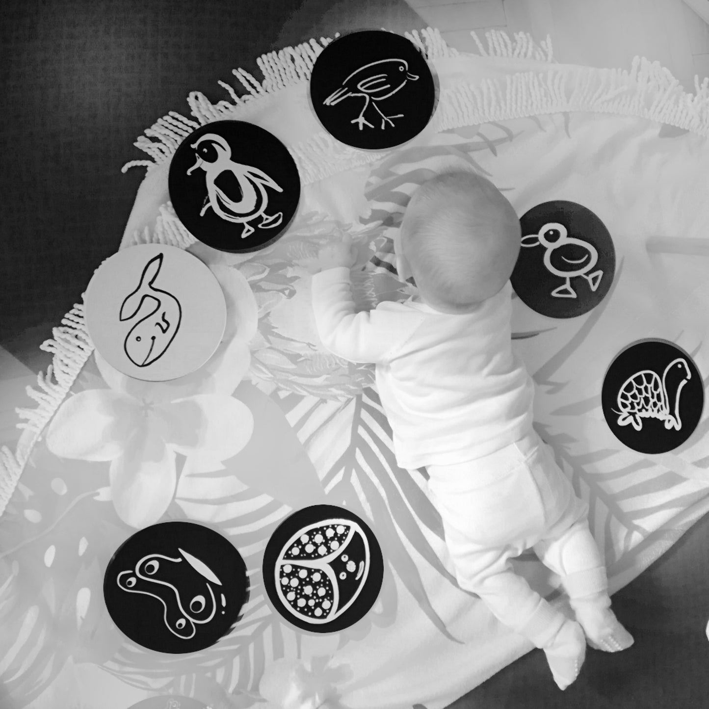 Firsties - 12 Black & White Flashcards For Newborns