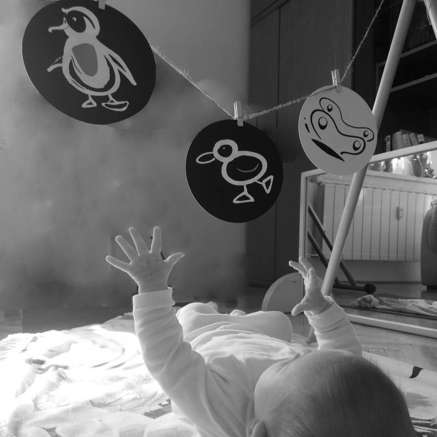Firsties - 12 Black & White Flashcards For Newborns